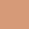 Base Matte Cobre Tudo - Zanphy